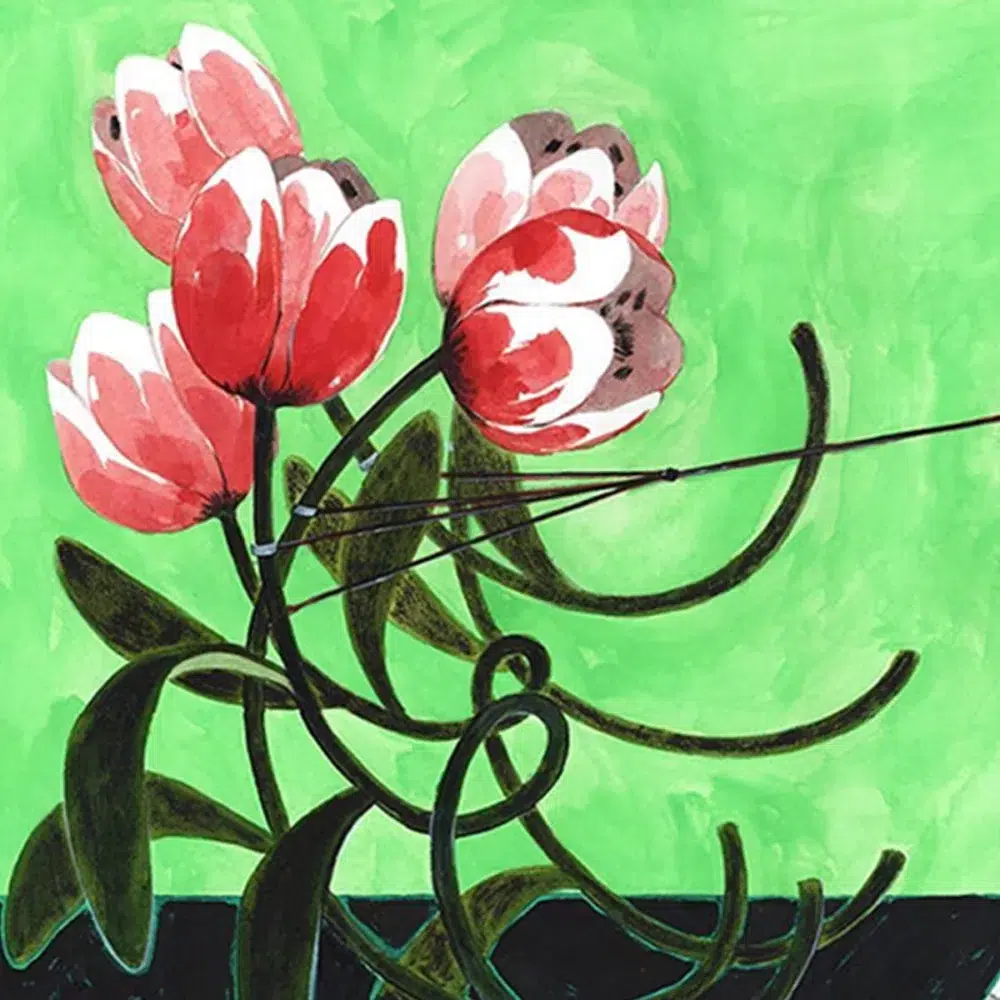 Fleurs qui marchent – Image 4