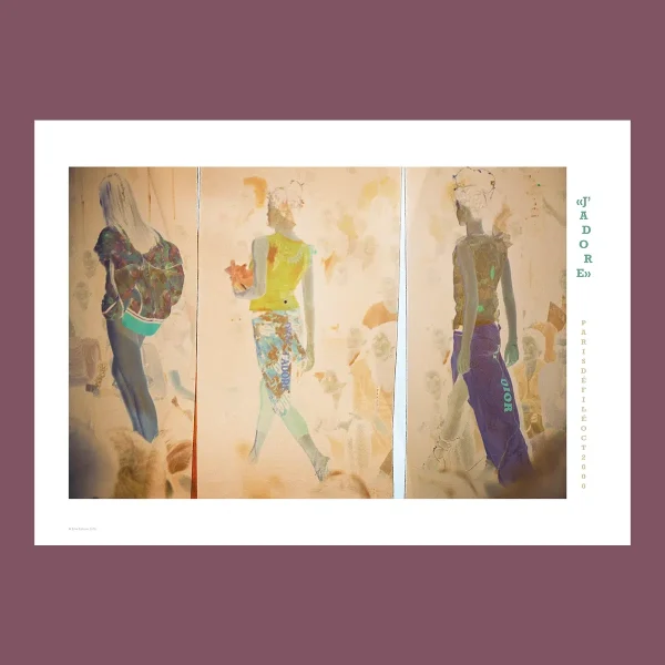 Défilé Dior - Image 2